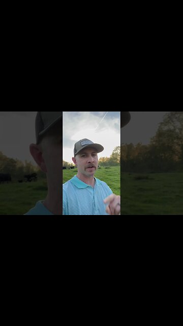 Stop the spread of fake news regarding mRNA vaccine use in beef cattle! #cattle #farm #farmlife