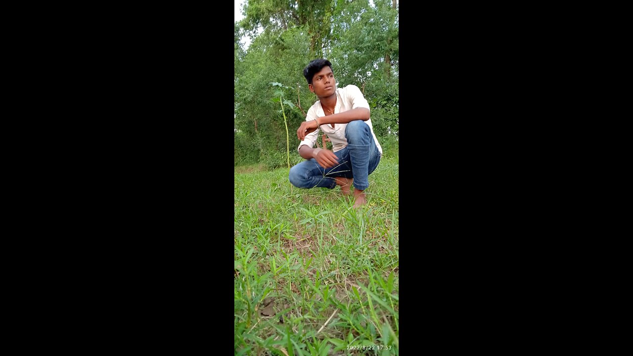 Hamare gawn