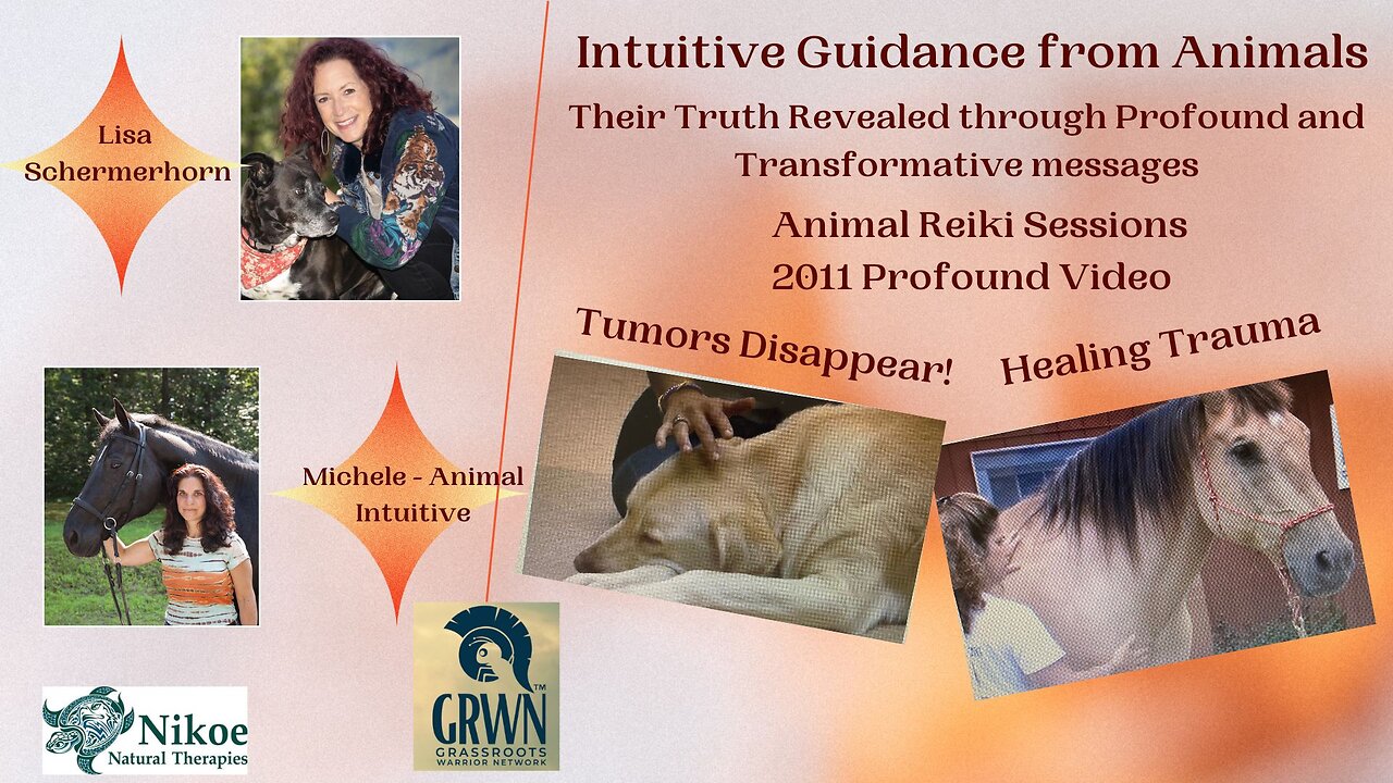 Animal Reiki – Trauma Healed and Tumors disappeared!