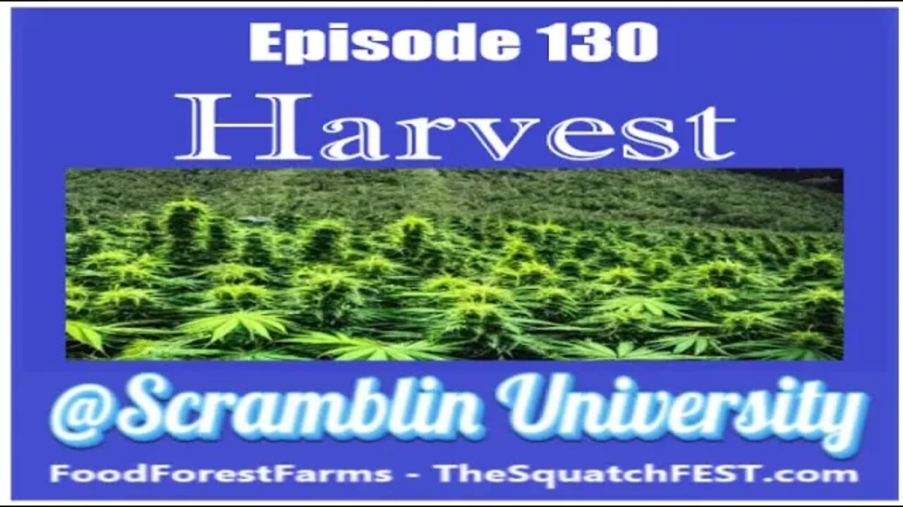 @Scramblin University - Episode 130 - Harvest