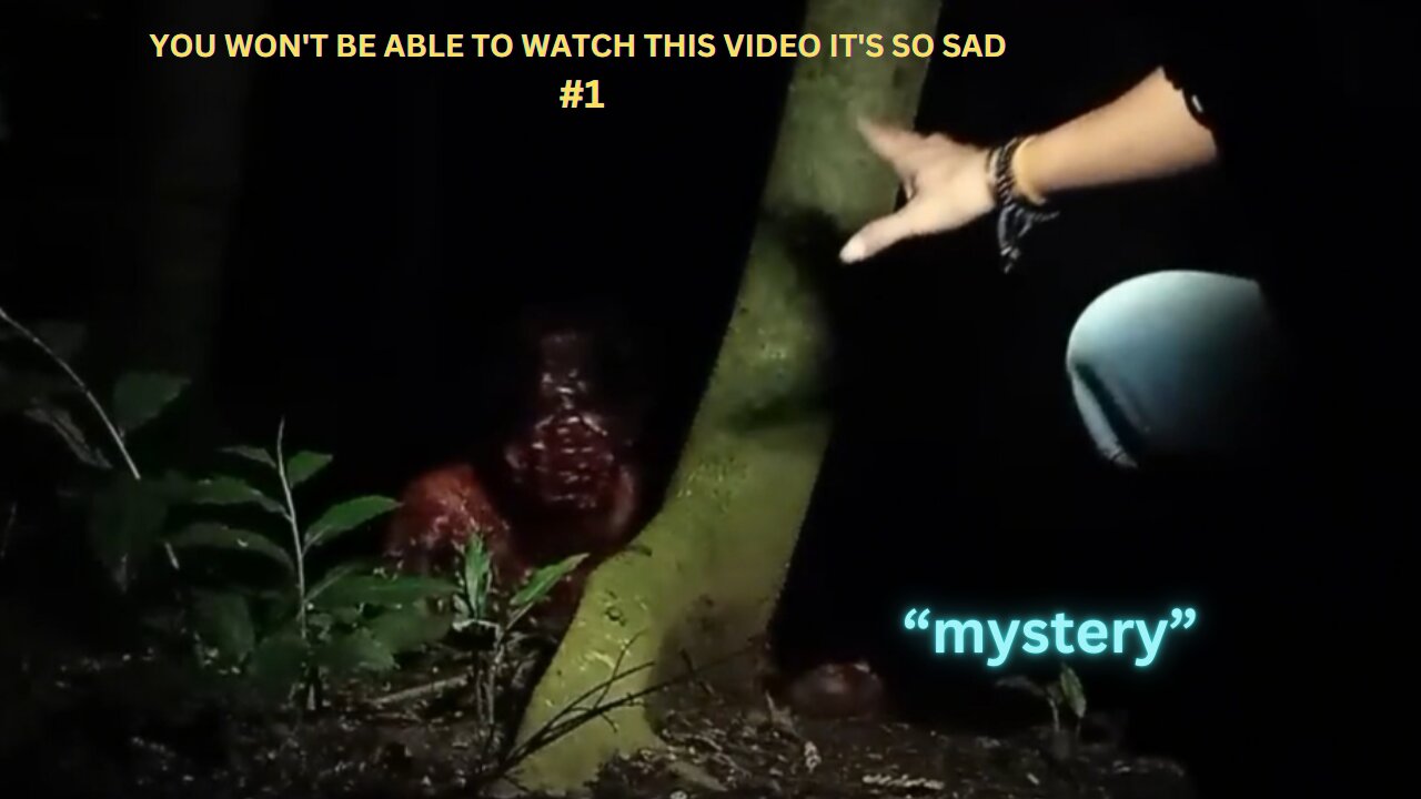 YOU WON'T BE ABLE TO WATCH THIS VIDEO IT'S SO SAD #1