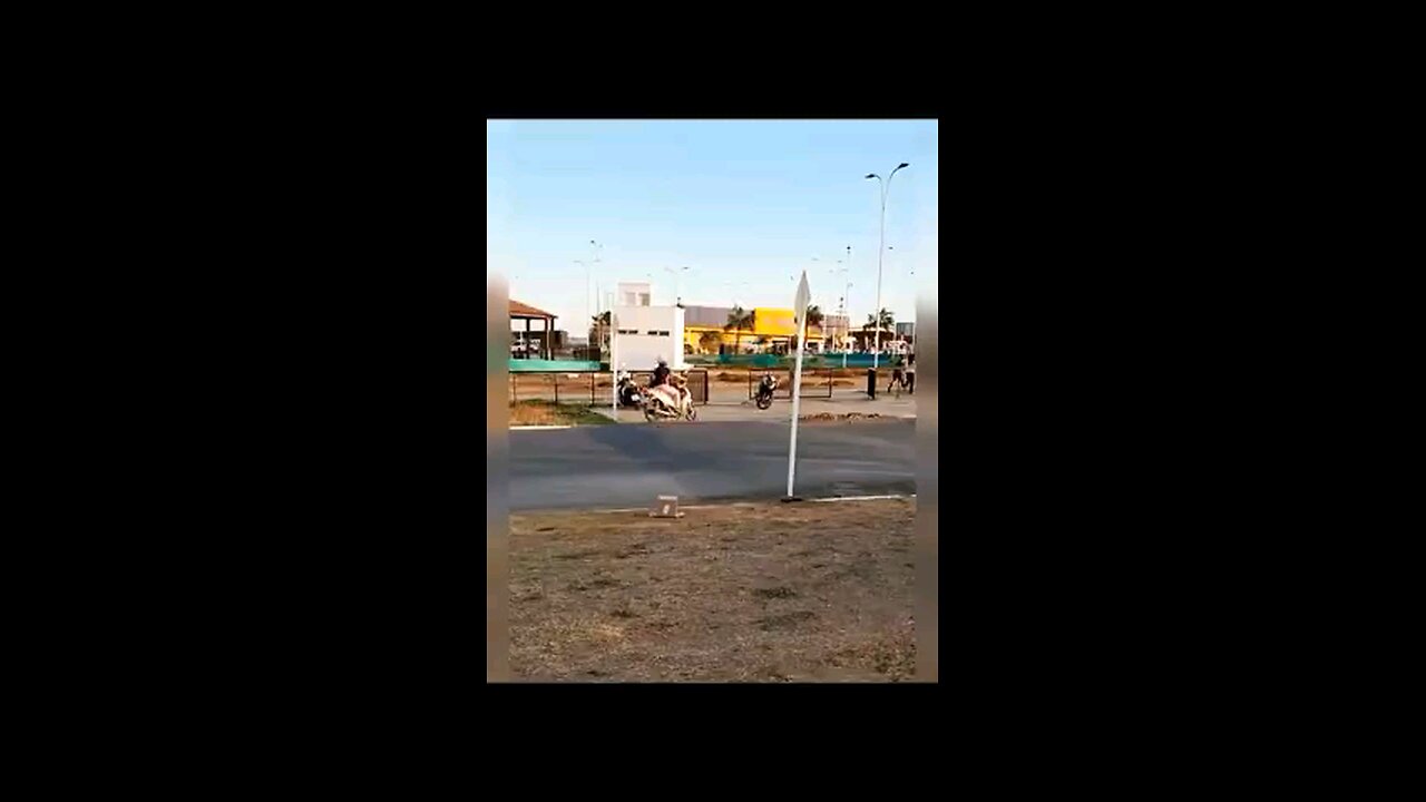 funny videos