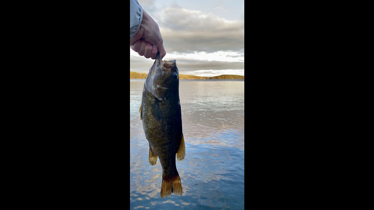 Big 'Ol Smallie