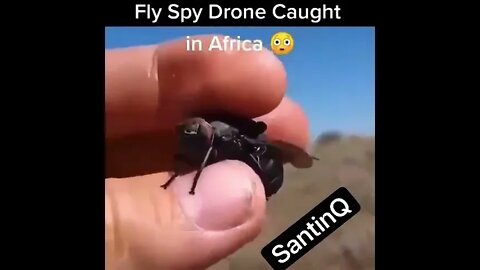 Fly Spy Drone Caught In Africa!