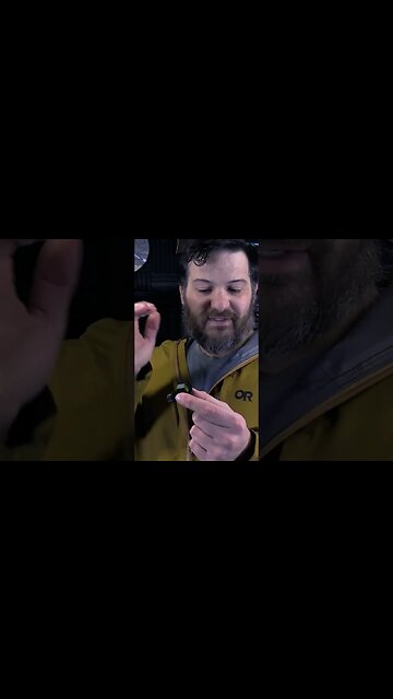 Swampfox Sentinel (First Look)