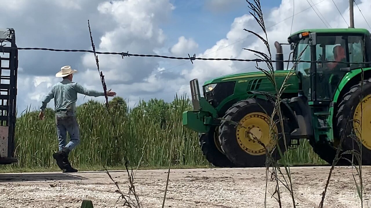 10/6/2021: Real Florida Cowboys Moving Cattle