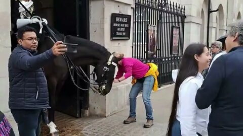 Taking pictures of the horse poo probley Animal rebellion #horseguardsparade