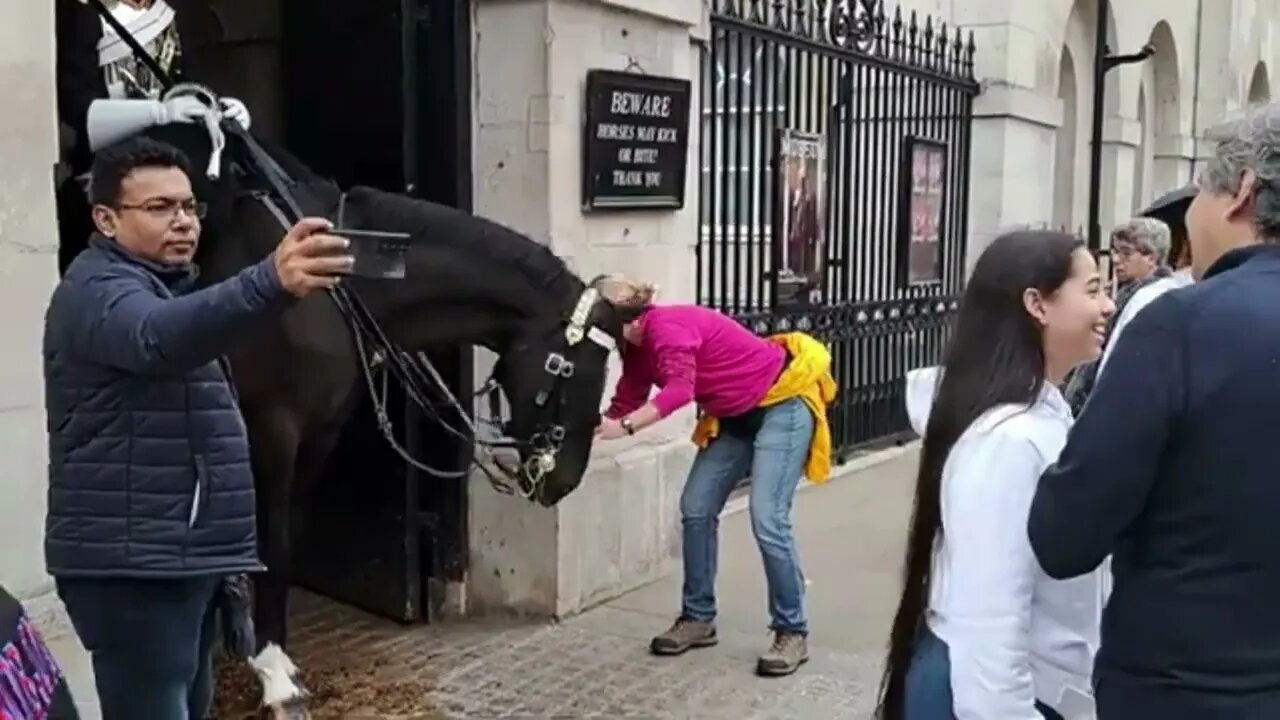 Taking pictures of the horse poo probley Animal rebellion #horseguardsparade