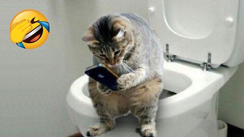 Funniest Cats and Dogs 😺🐶 Funny Animals 2023