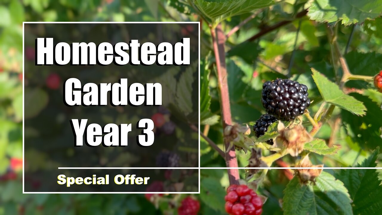 Garden Changes in '24 - Special Offer