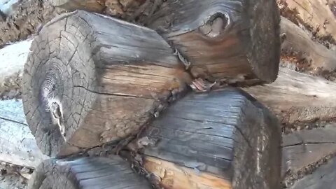 Visiting an Abandoned log Cabin Homestead 12
