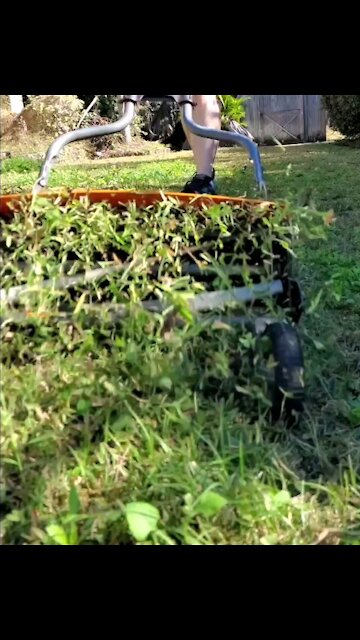 Reel mower slow motion.