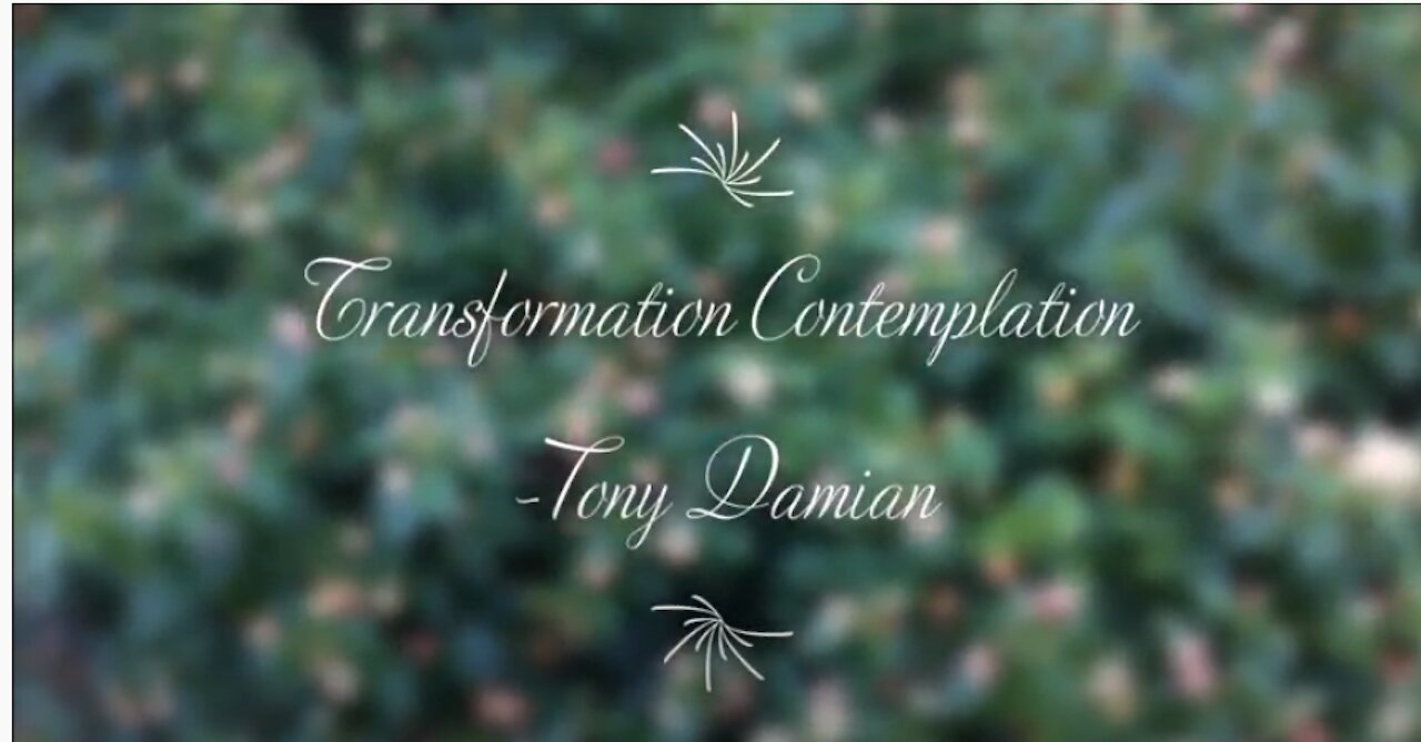 Transformation Contemplation