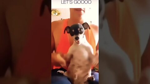 Wait for dog 🐶 Hahah (please make this viral) #shorts #viral #subscribe #funny #youtubeshorts