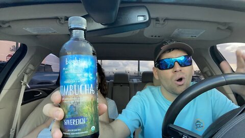 Buchi kombucha review