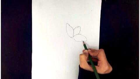 How To Draw Flowers Easy Step