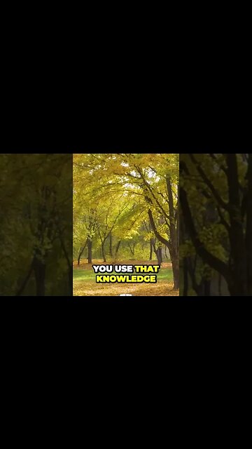 The Surprising Impact Your Words Have On Your Husbands Reputation