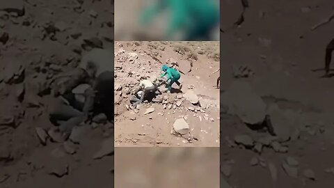 The Flood Is Coming! 😲