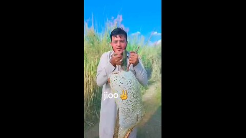 The World Biggest Small Honey Bees Honeycomb Honey Harvesting from beehive