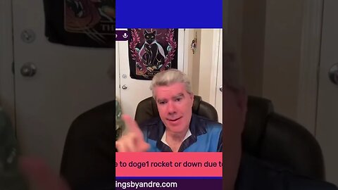 Doge In The Summertime!