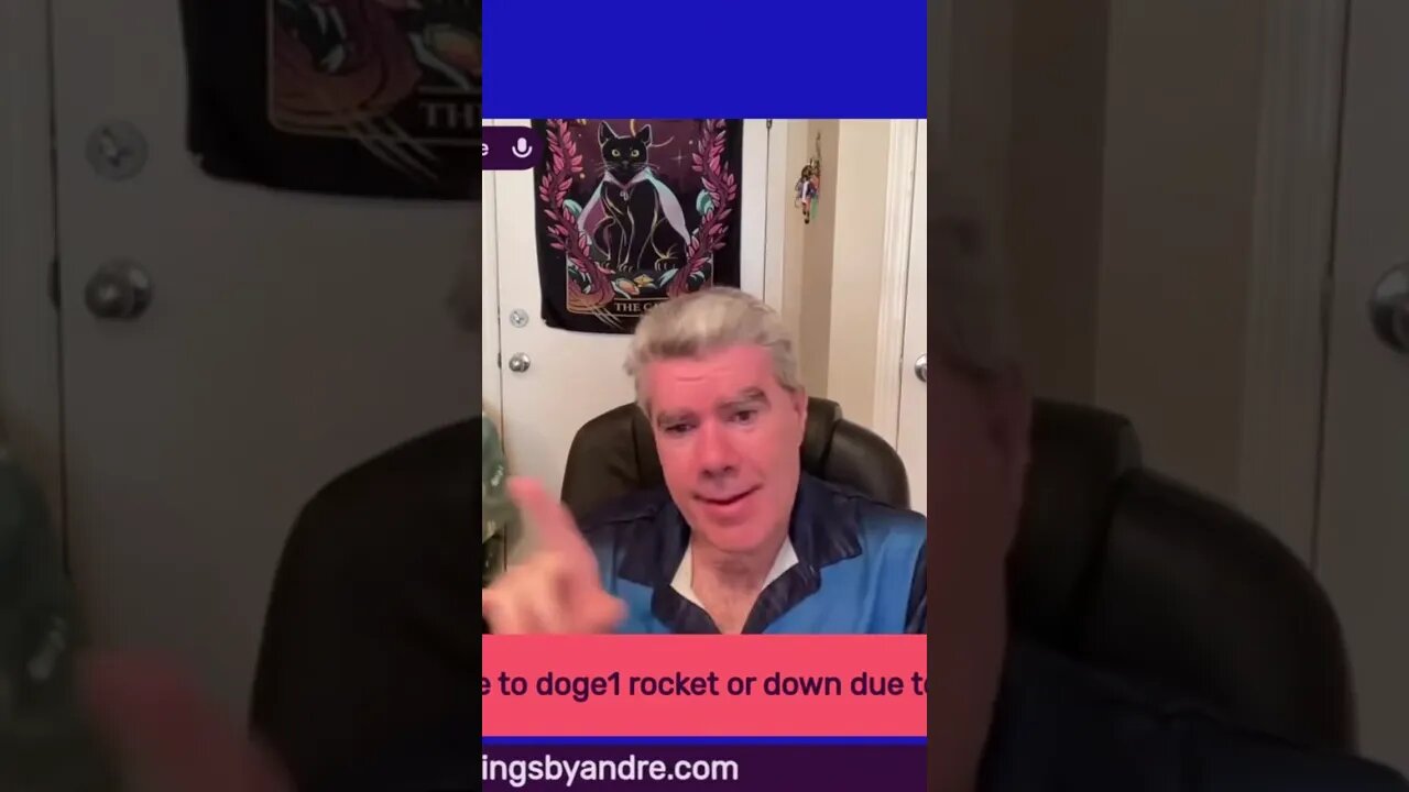 Doge In The Summertime!