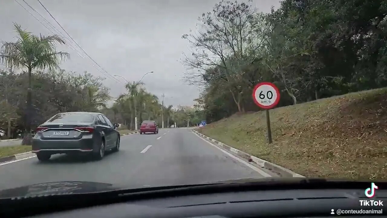 Ciclovia em rodovia movimento é uma desgraça, vai dar ruim demais !