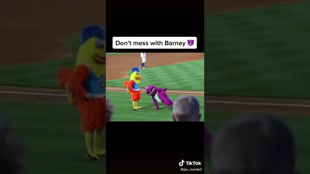 Dont Mess With Barney tiktok jav monte2