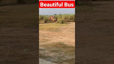 Beautiful Bus in Jungle