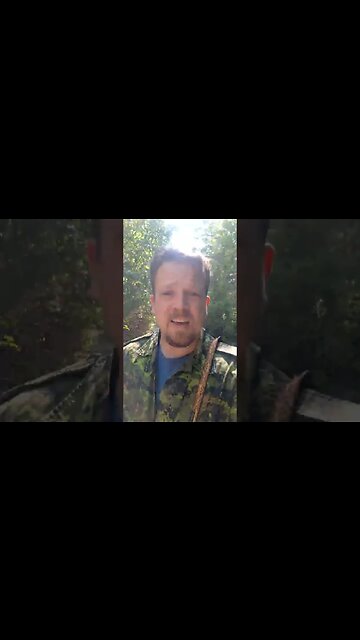 #shorts Walking Steve