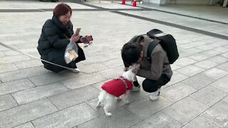 After a year apart, this pup and her owner are reunited