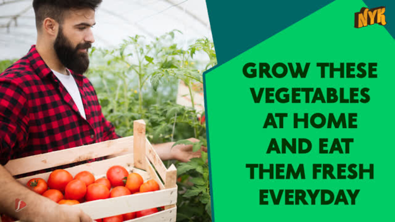 Top 4 Vegetables You Can Grow At Home