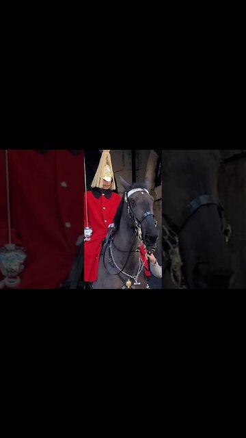 Don't hold the Reins The King's Guard shouts #horseguardsparade full video in link