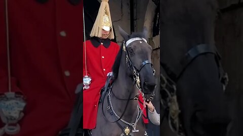 Don't hold the Reins The King's Guard shouts #horseguardsparade full video in link