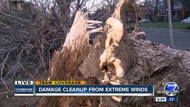 Denver metro residents cleaning up, waiting for power after Tuesday's windstorm