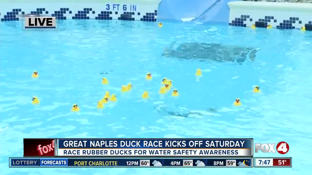 Great Naples Duck Race raises money for water safety