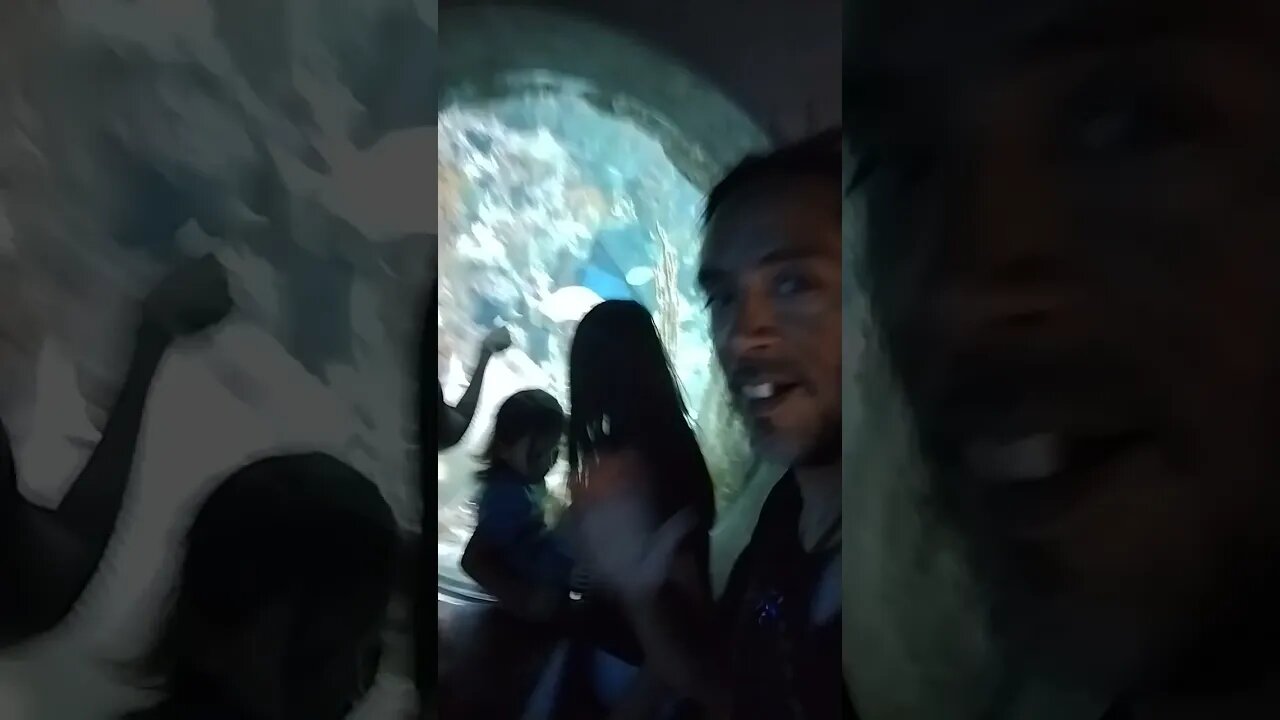 A Family Trip To The Albuquerque Aquarium!