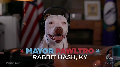 Rabbit Hash's dog mayor stars in ABC commercial