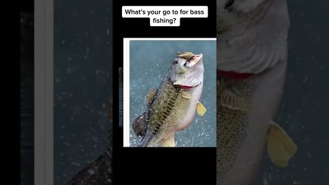 Whats your bass fishing go to