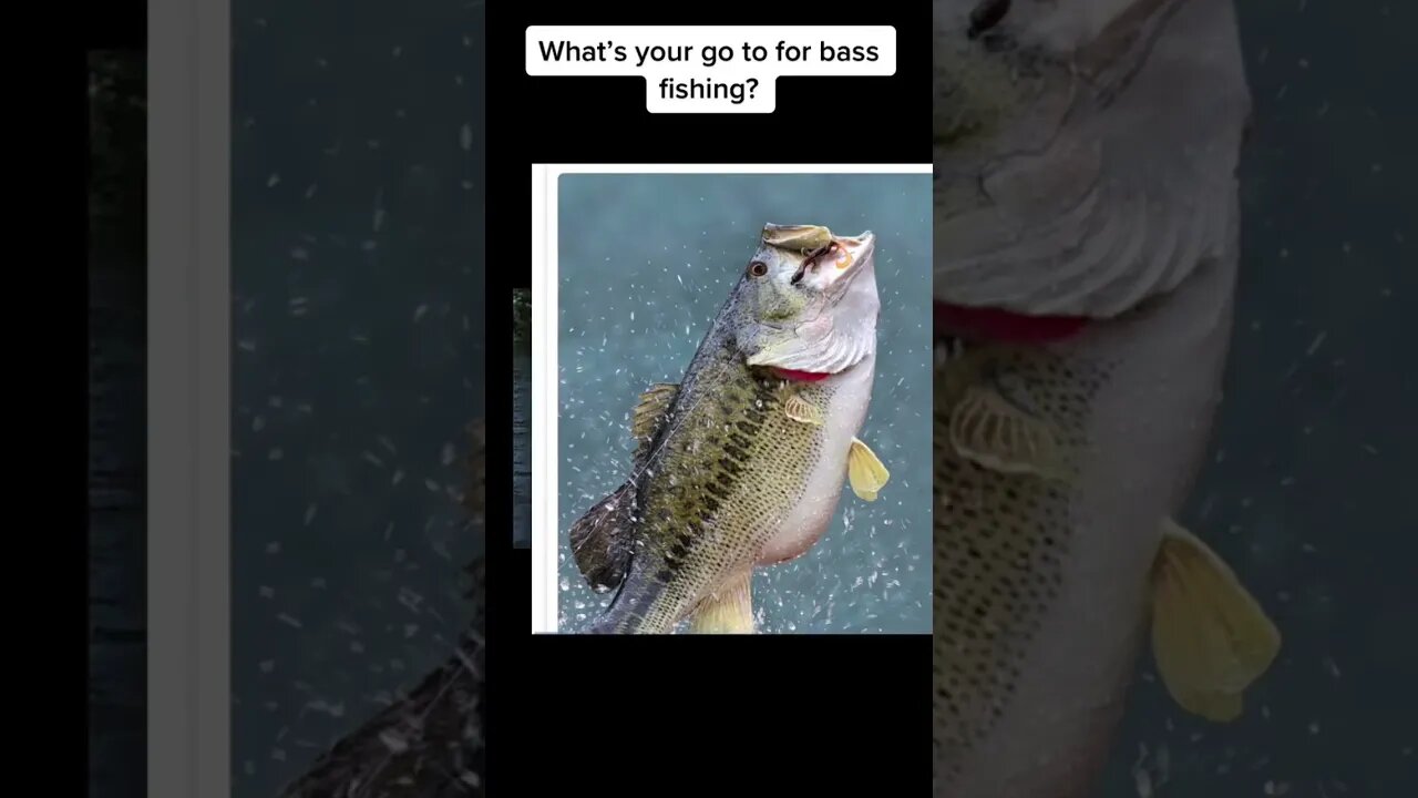 Whats your bass fishing go to