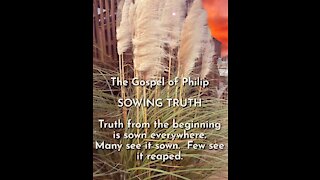 The Gospel of Philip - Sowing Truth