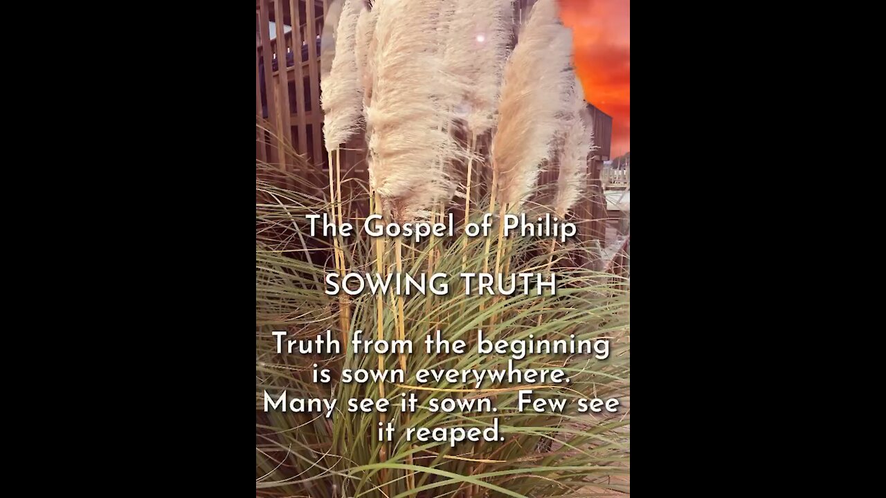 The Gospel of Philip - Sowing Truth