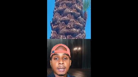 El justo florecerá como la palmera 🌴 😱🔥 #viral #reel #reels #shorts #short #fyp #religion #jesus