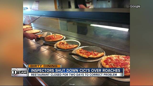 Dirty Dining: Cici's shut down for live roaches