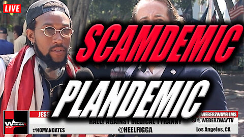 SCAMDEMIC PLANDEMIC