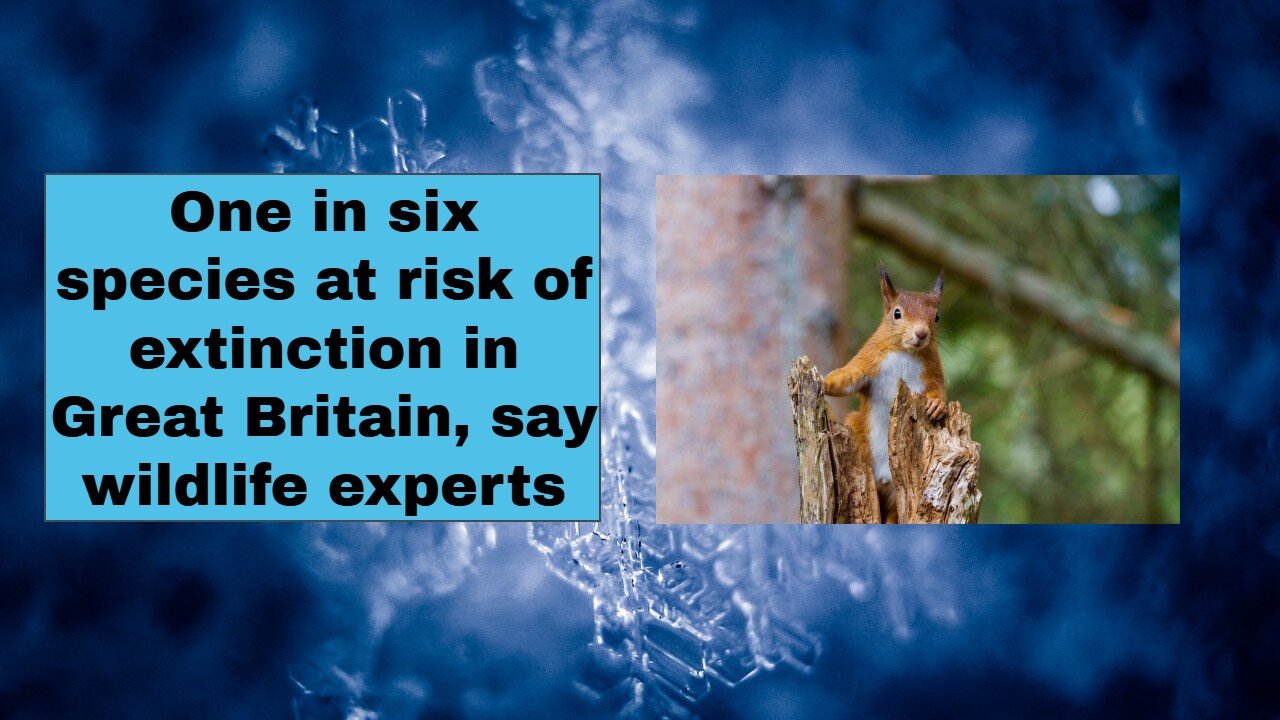 One in six species at risk of extinction in Great Britain, say wildlife experts