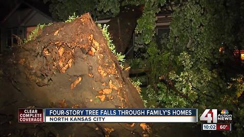 Four-story tree falls on family's home