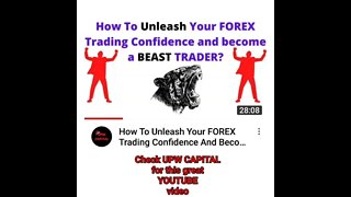 Forex Trading Tips & Support