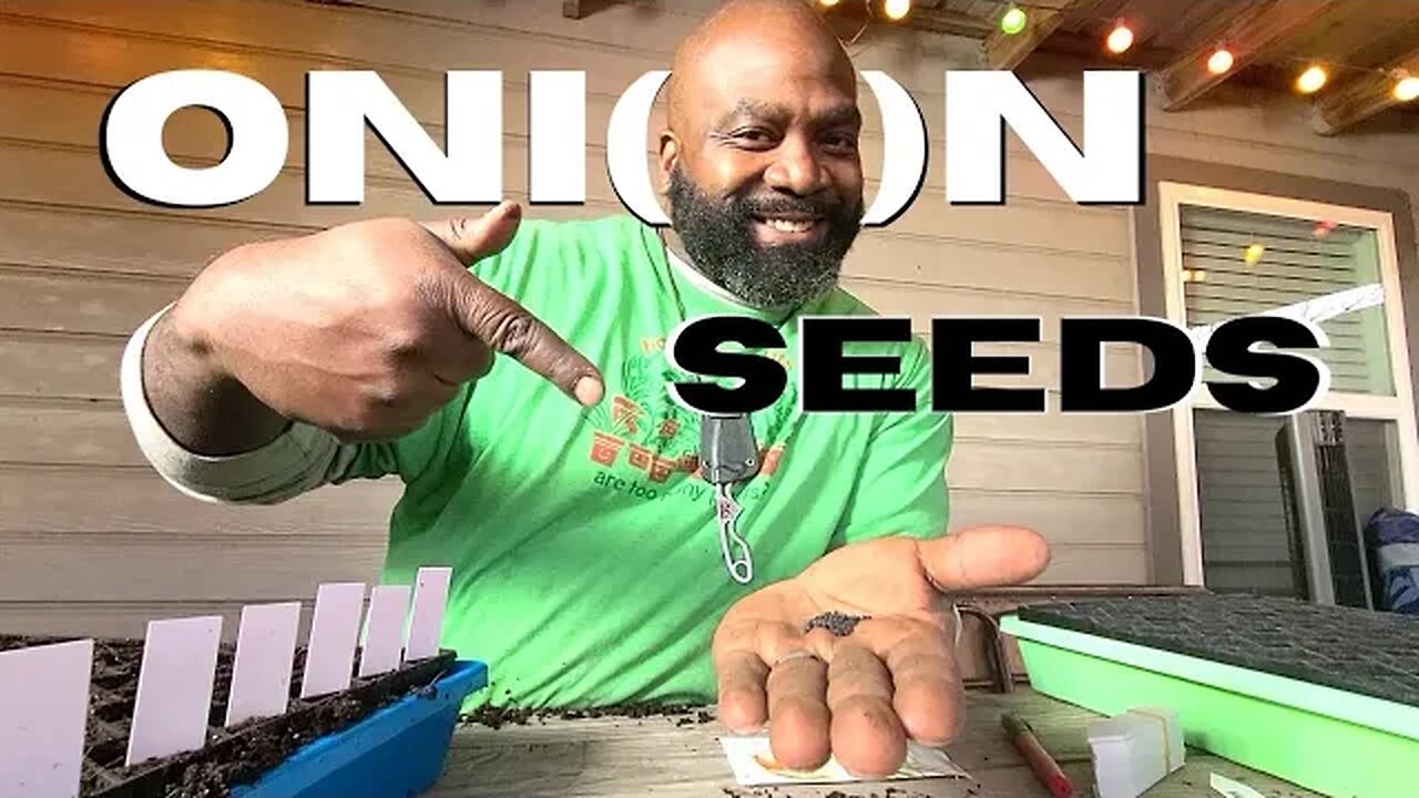 How We Start Onions From Seeds