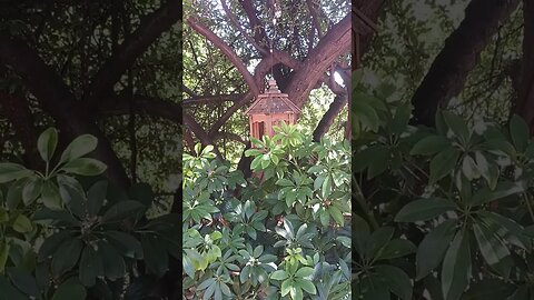 HANG IN THERE! FOR WE ARE ALMOST HOME! A MUST HEAR!