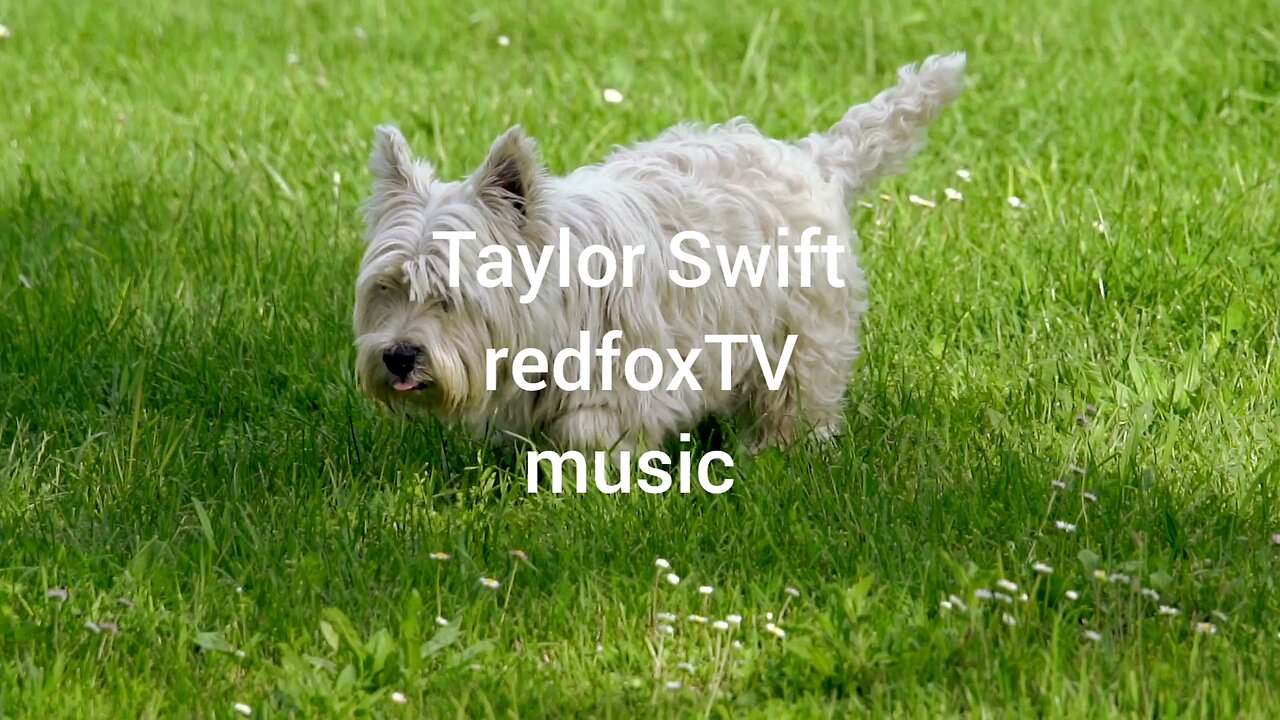 redfoxTVmusic